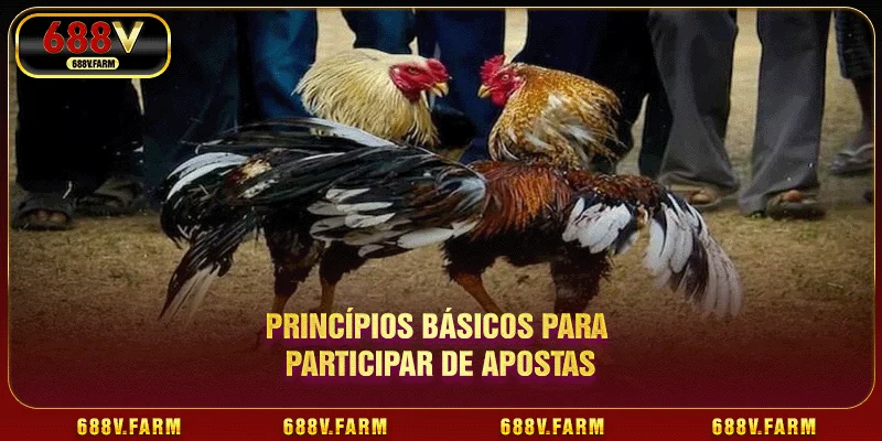 Princípios básicos para participar de apostas