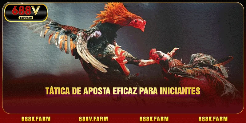 Tática de aposta eficaz para iniciantes