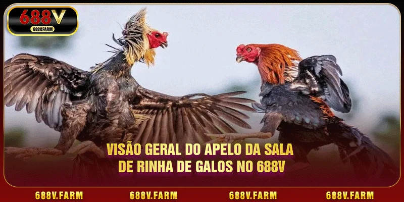 Visão geral do apelo da sala de rinha de galos no 688V