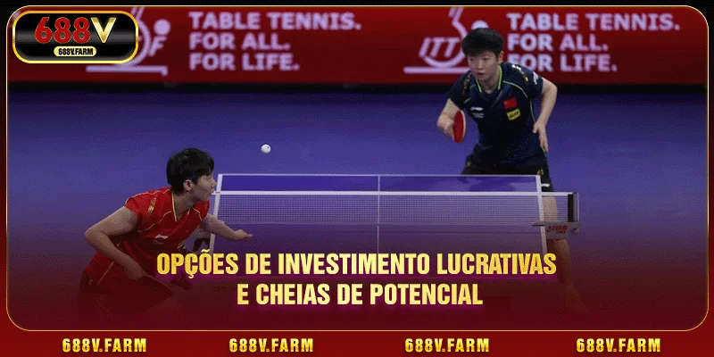 Opções de investimento lucrativas e cheias de potencial